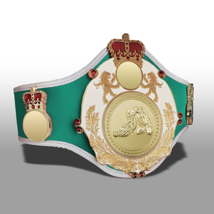 QUEENSBURY PRO LEATHER JIU JITSU CHAMPIONSHIP BELT - QUEEN/W/G/JJG -10+ COLOURS